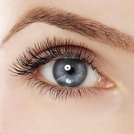 Eyelash Brow Tinting